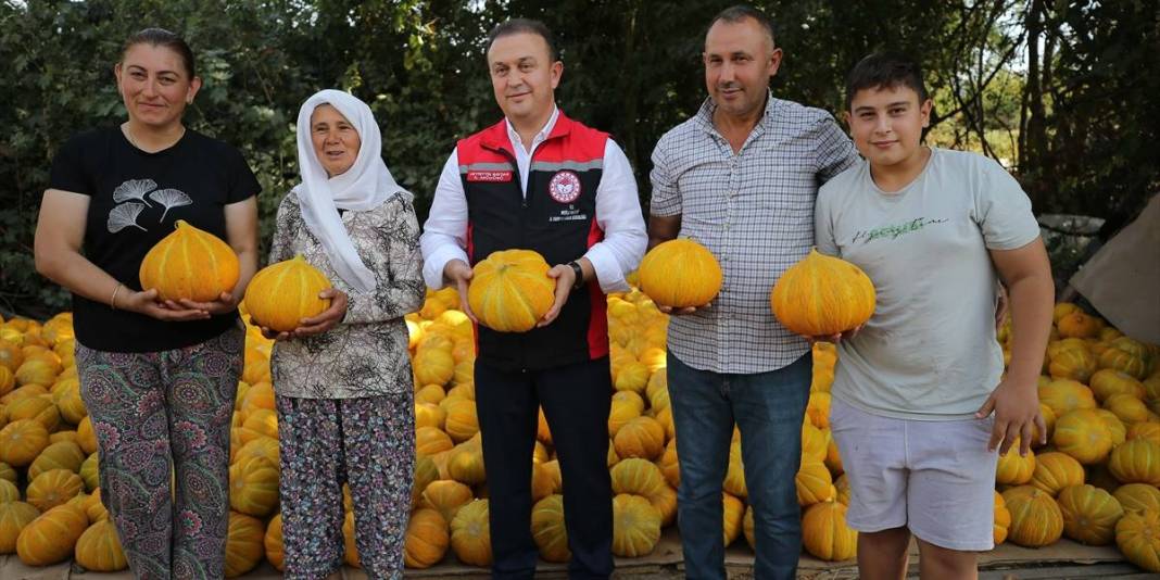 Sadece bu yaylada yetişiyor! Türkiye’nin endemik ürünü hasat ediliyor: 400 dekarda, altın değerinde 4